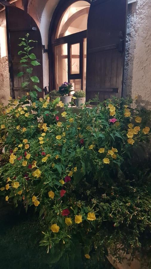הוילה Paralía Casa Del Mare מראה חיצוני תמונה